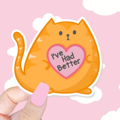 Ive Had Better Orange Cat Sticker