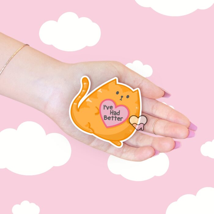 Ive Had Better Orange Cat Sticker