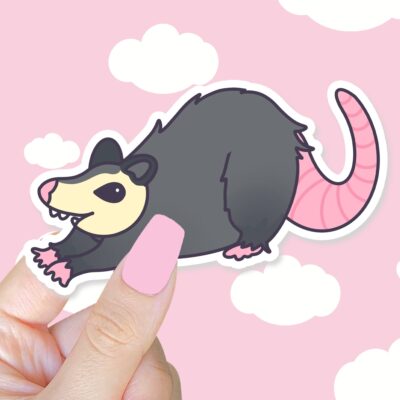 Stretchy Possum Sticker