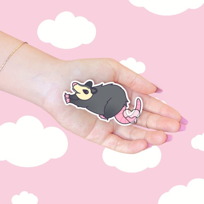 Stretchy Possum Sticker