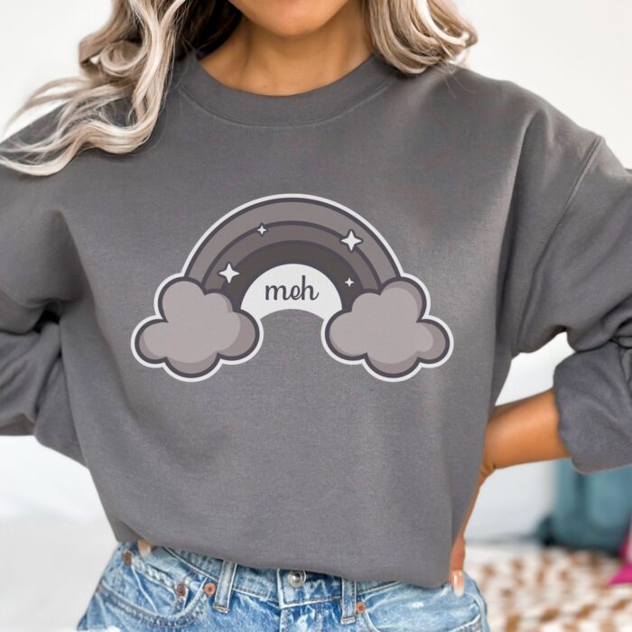 Meh Rainbow Sweatshirt Model